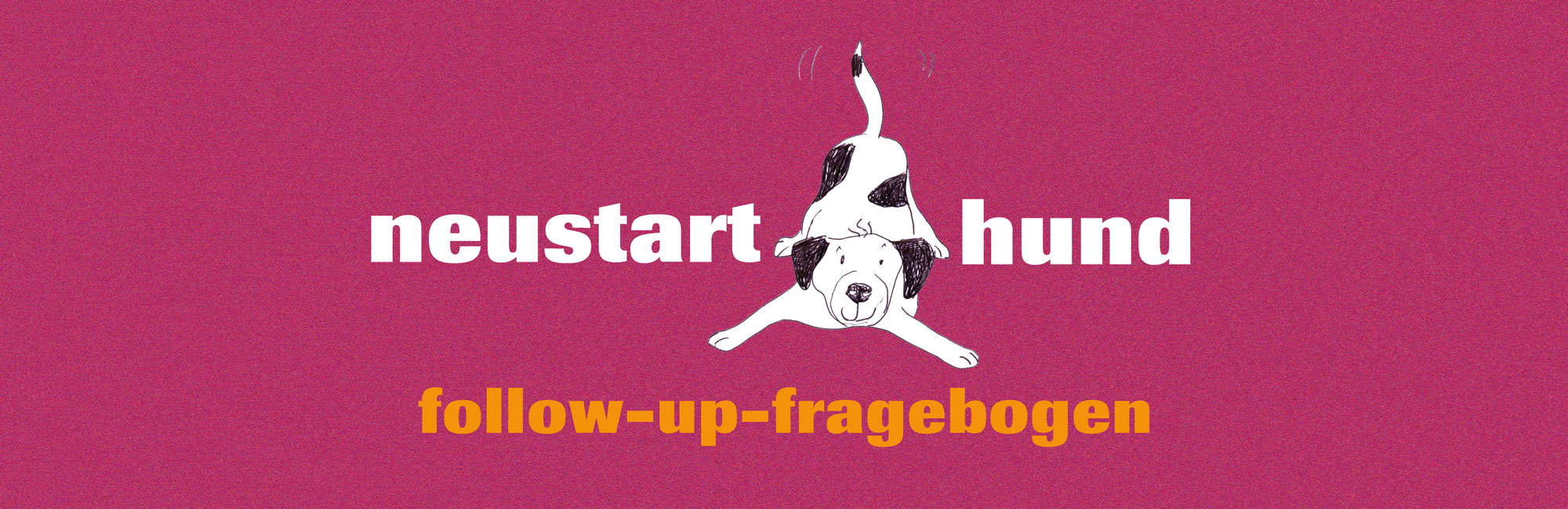 neustart-hund follow-up-fragebogen
